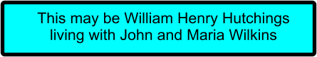 This may be William Henry Hutchings living with John and Maria Wilkins
